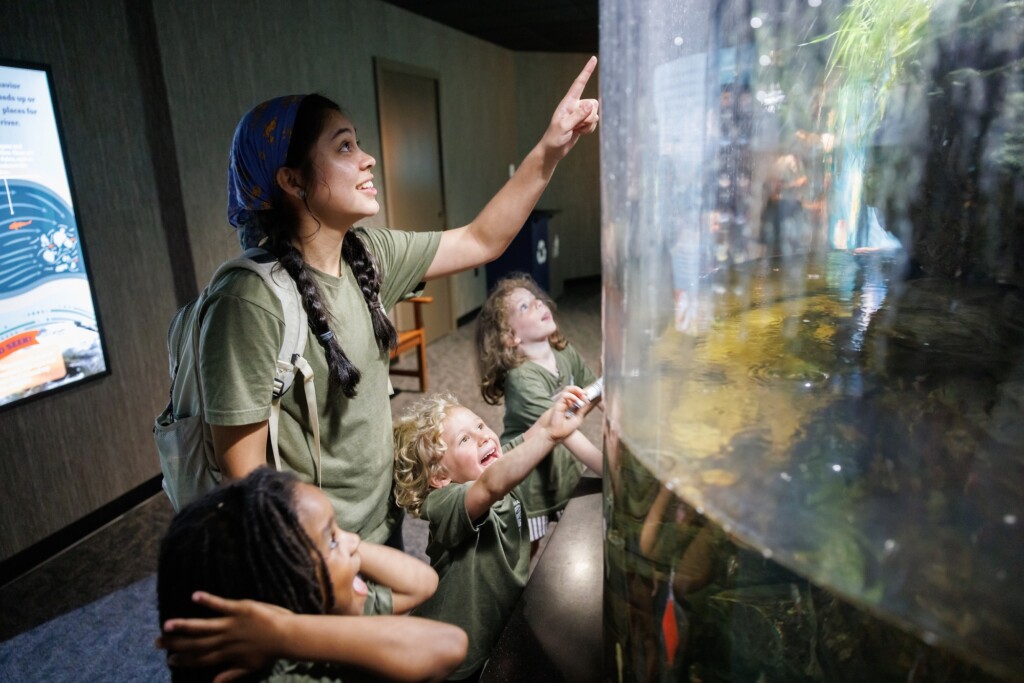 Tn Aquarium Campers Exploring Galleries