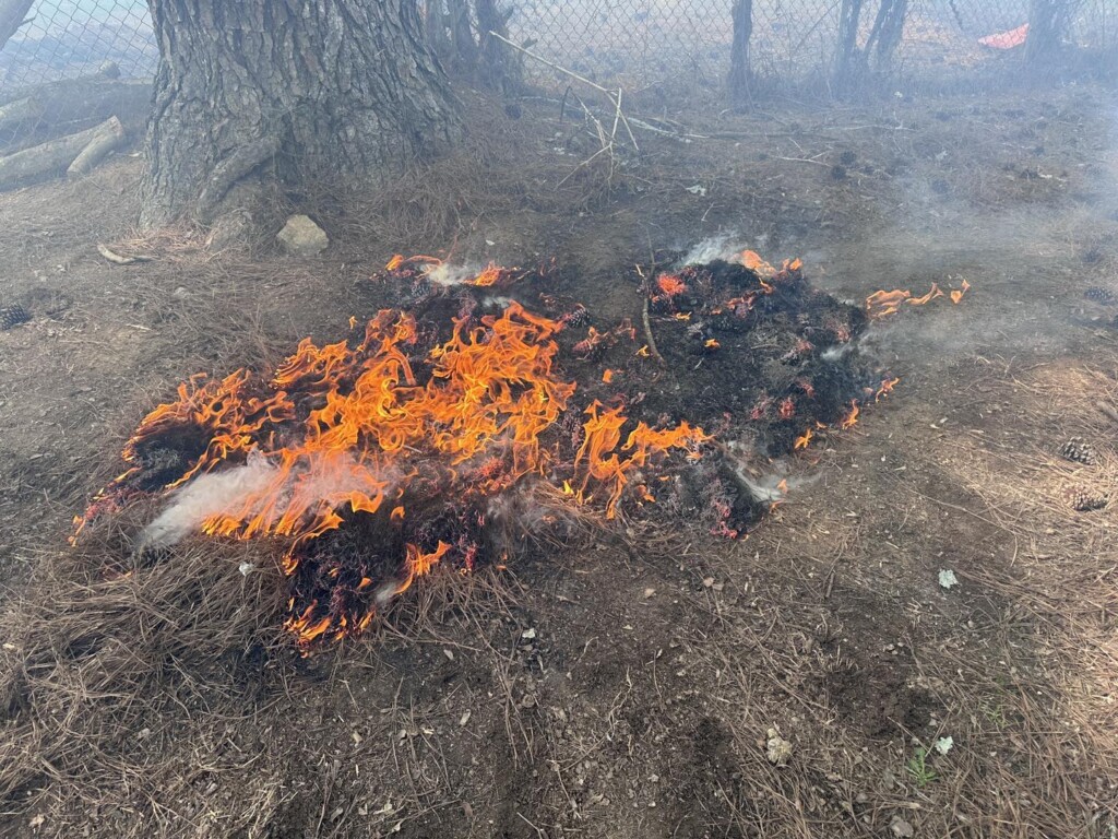 Lafayette Fire