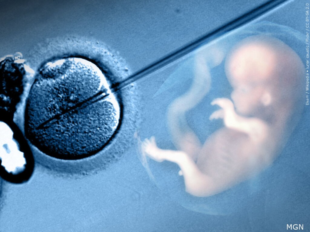 In Vitro Fertilization
