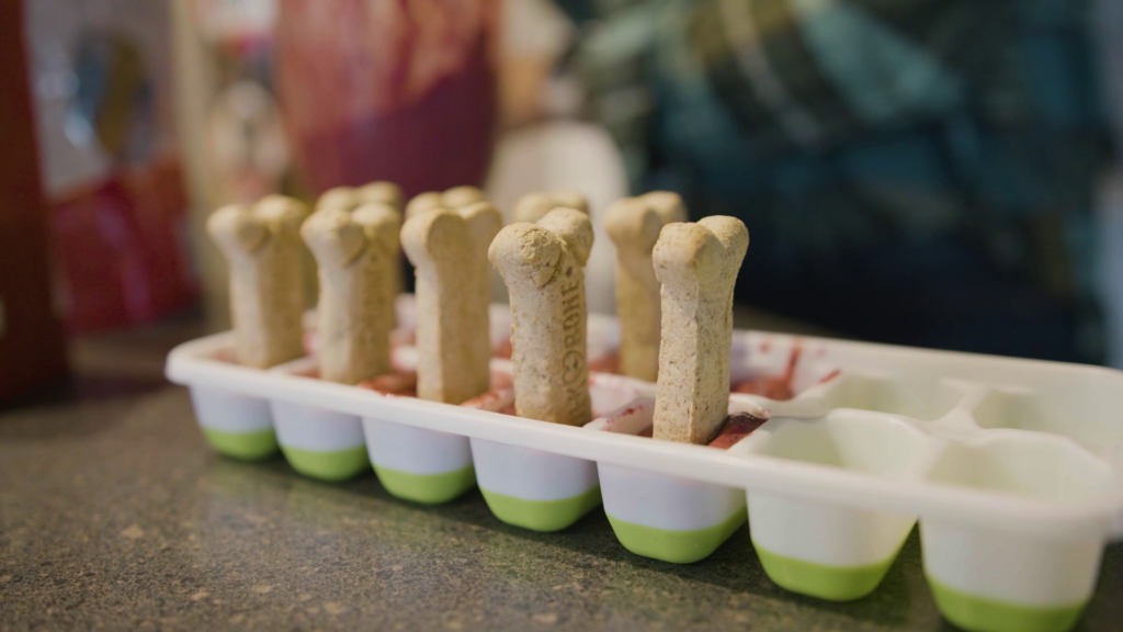 Mom To Mom Diy Dog Popsicles
