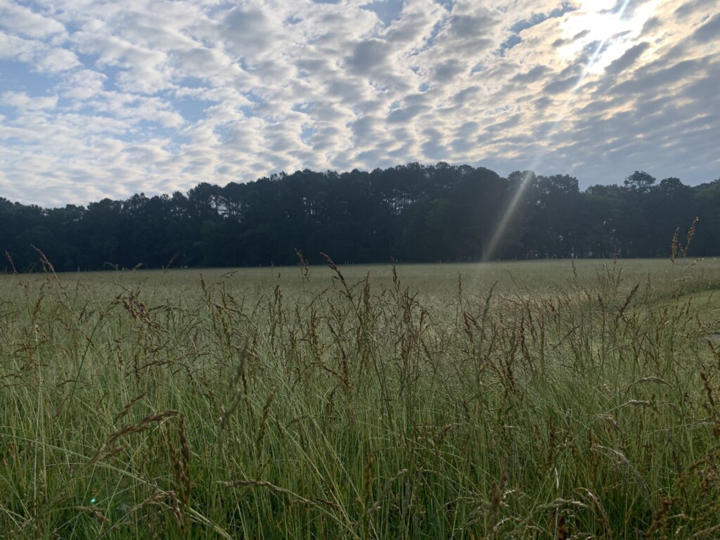 Chickamauga Battlefield