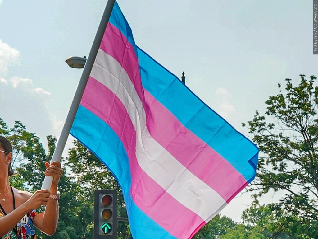 transgender flag