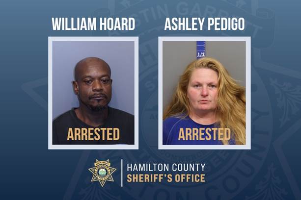 Alpr Arrest
