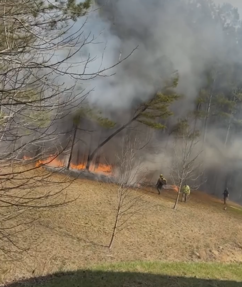 Fire Walden Ridge