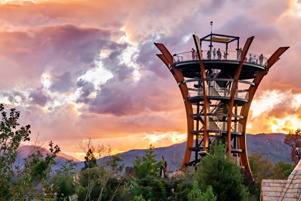 Anakeesta Tower Picture Anakeesta Tower Picture