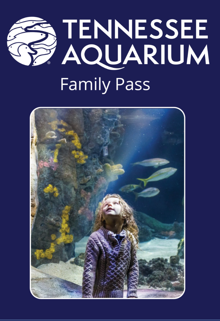 Tennessee Aquarium Pass 2024