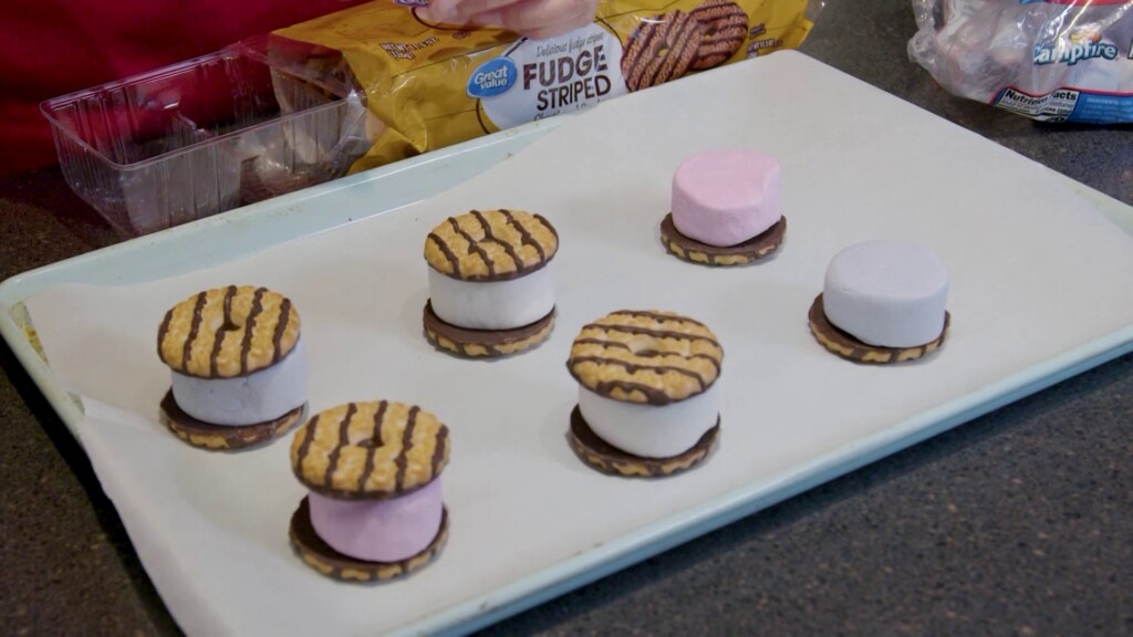 Mom to Mom - Fudge Stripe S'mores - WDEF