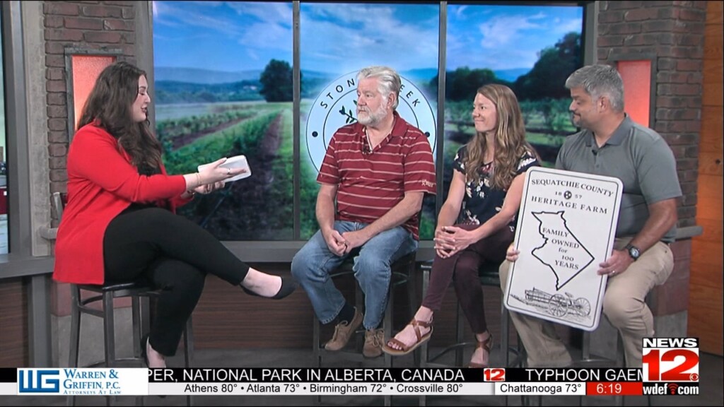 This Morning Stone Creek Farm