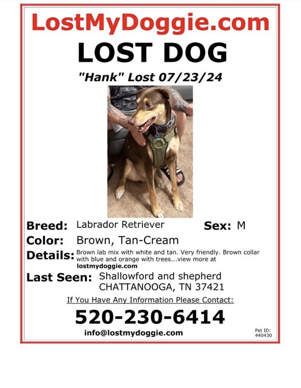 Missingdog 072424