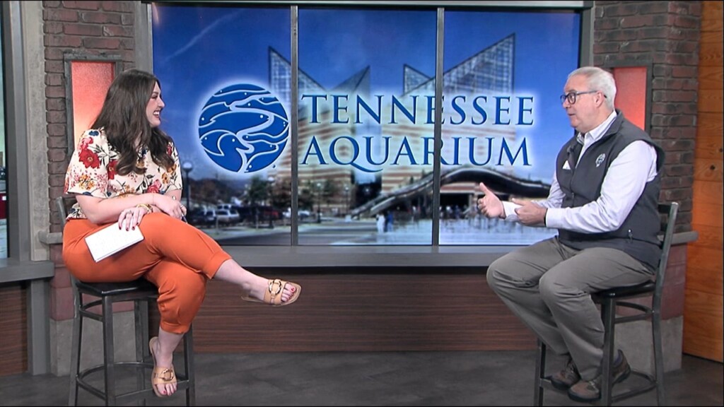 This Morning Tennessee Aquarium