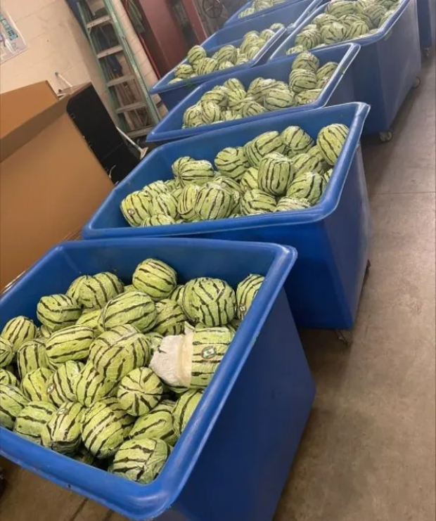 Watermelon Meth Seizure