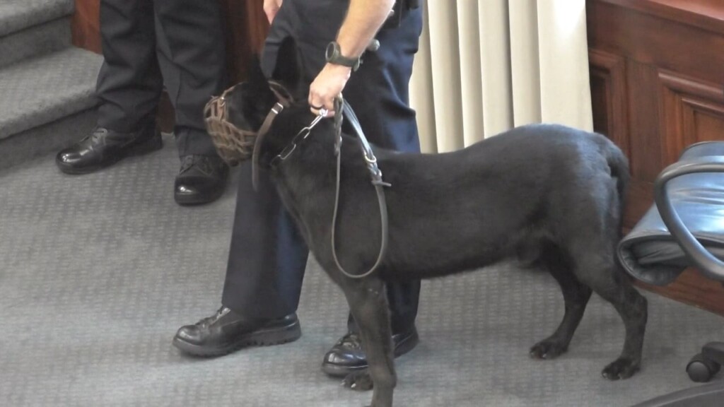 Hcso K 9 Deputy Nero Goes Into Retirement