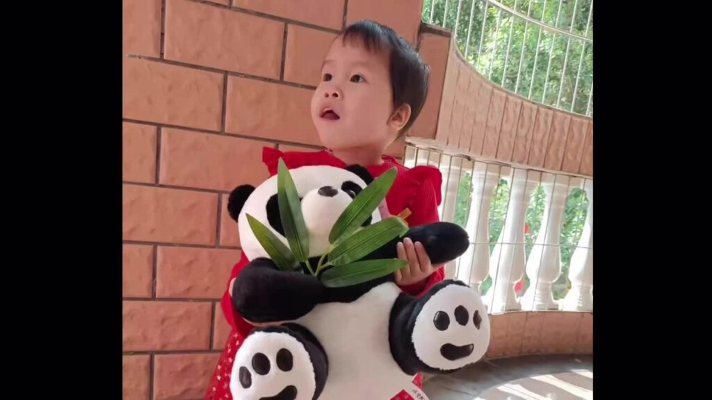 China's Adoption Ban