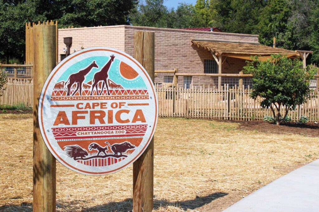 Cape Of Africa Sign