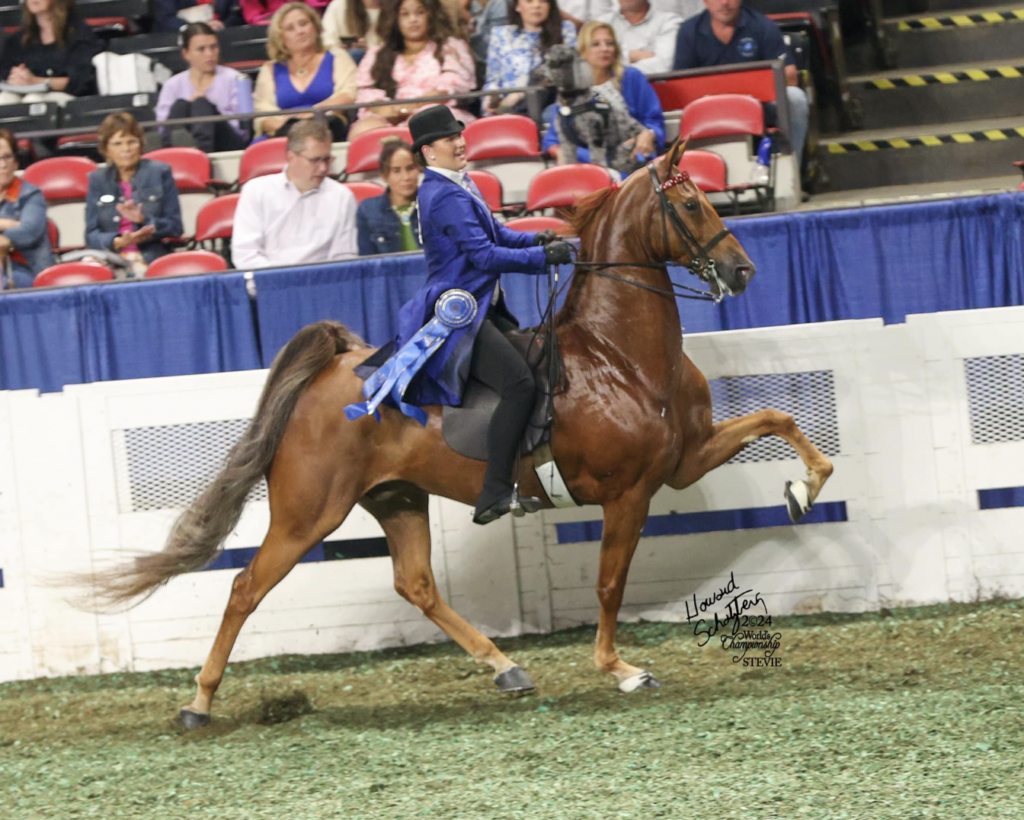Pearson Waller Competition