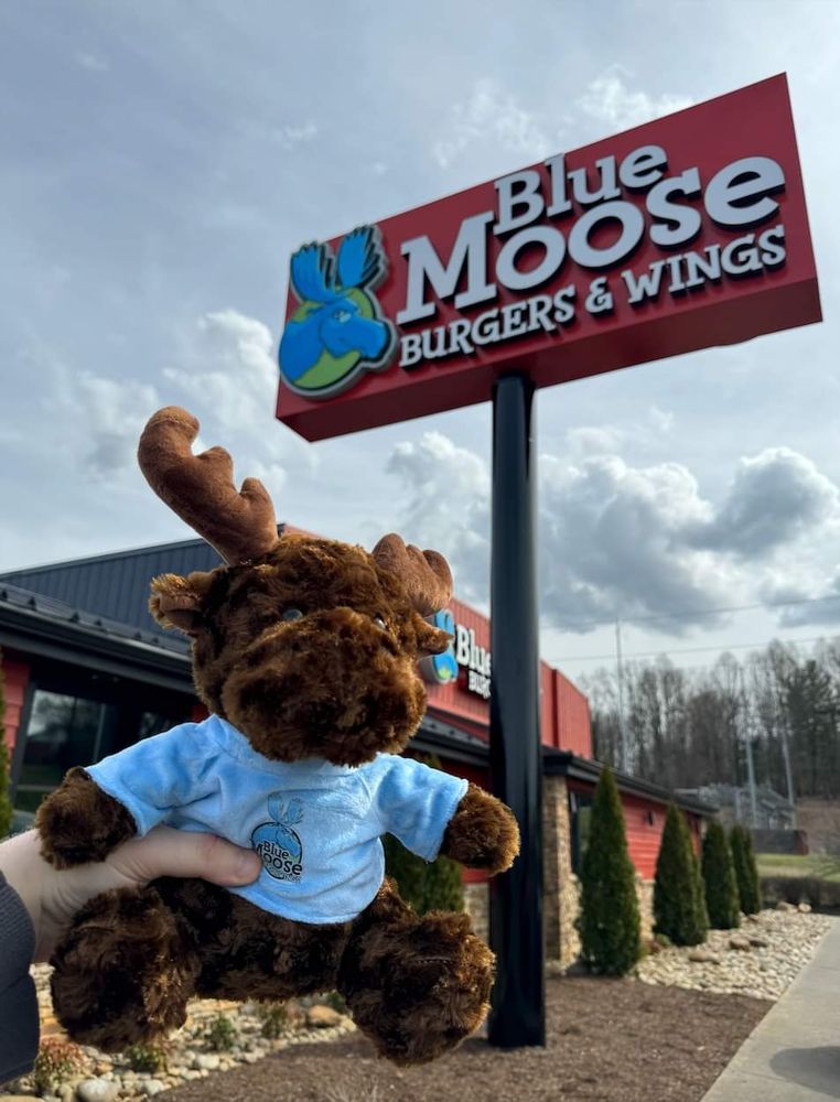 Blue Moose
