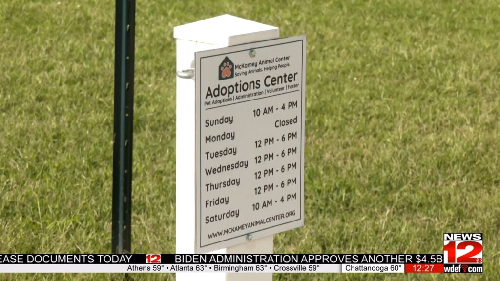 Mckamey Animal Center And Crown Subaru's Pet Adoption Event