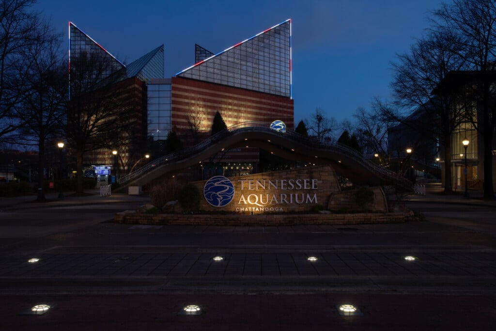 Tennessee Aquarium