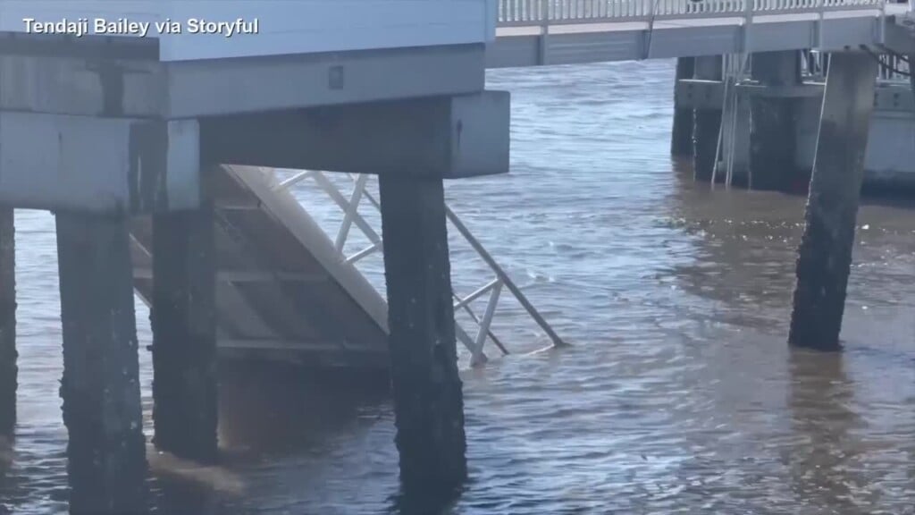 Witnesses Describe Frantic Rescue Effort After Georgia Dock Gangway Collapse Killed 7