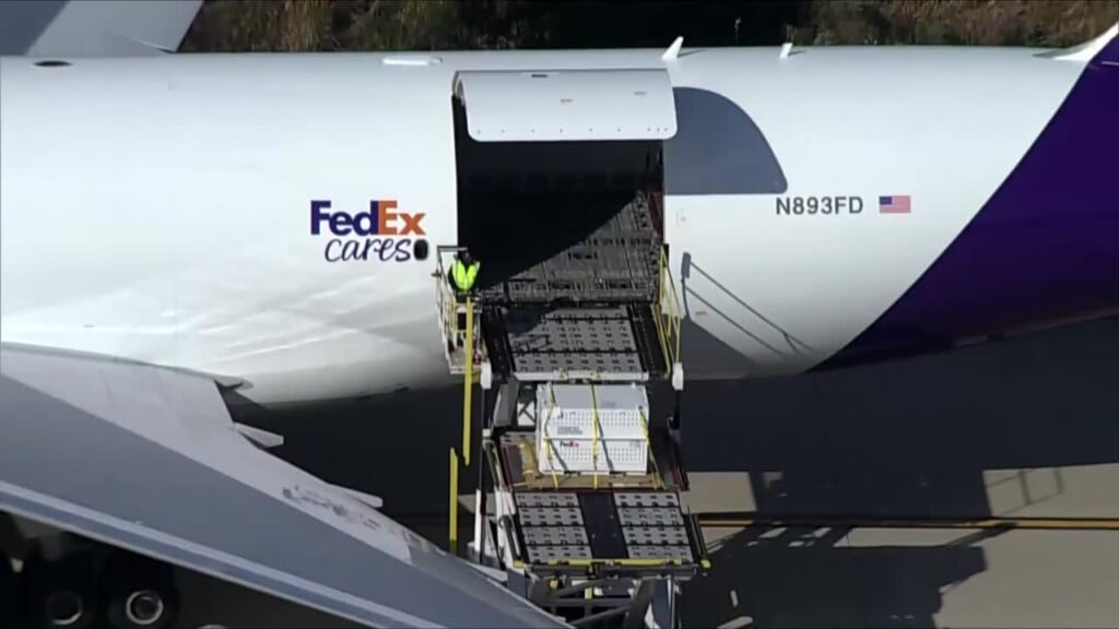 Pandas From China Return To Washington, D.c., After Beloved Animals Left National Zoo Last Year
