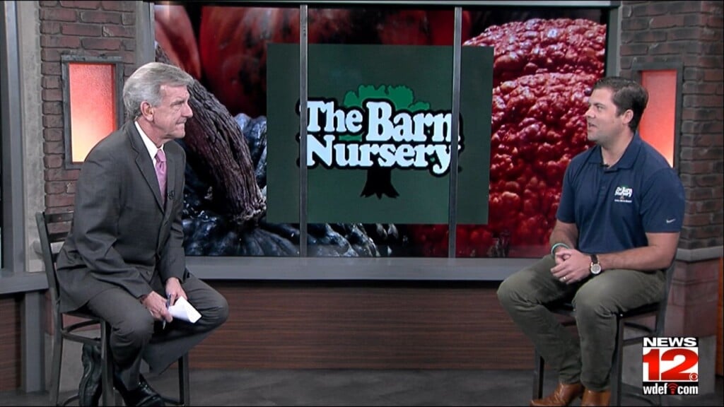 This Morning The Barn Nursery