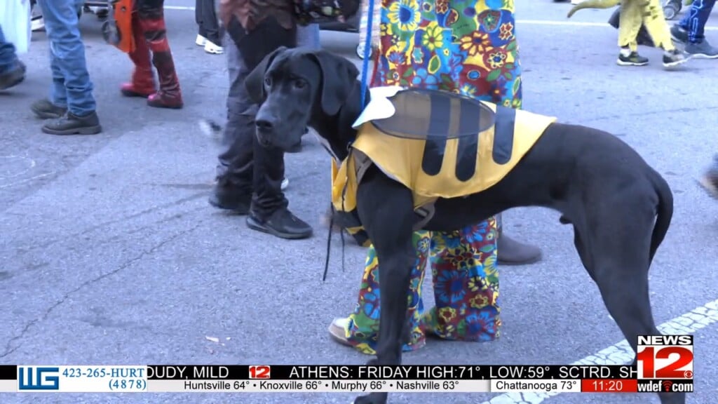 Annual Halloween block party in Cleveland WDEF