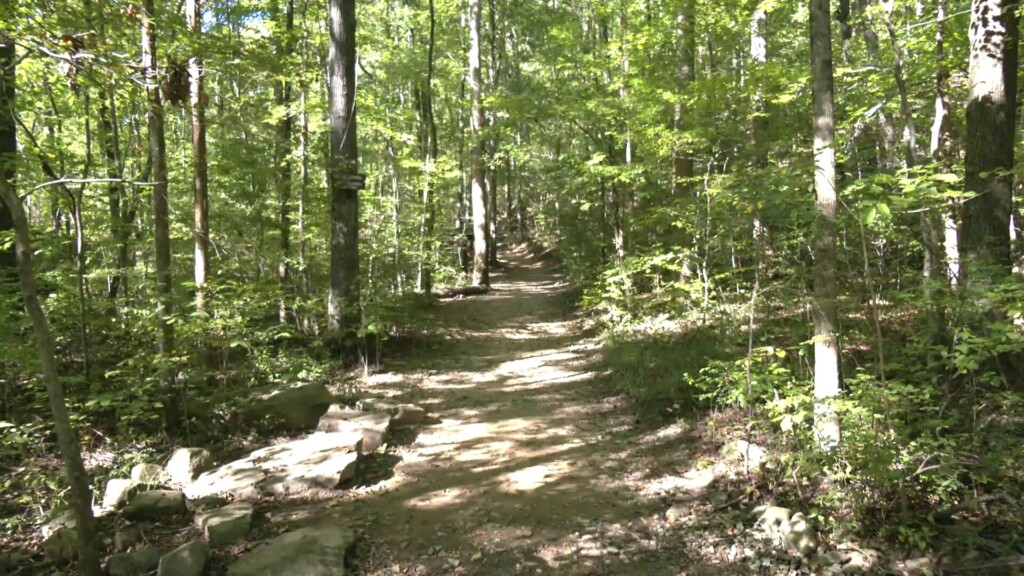 Trail 003