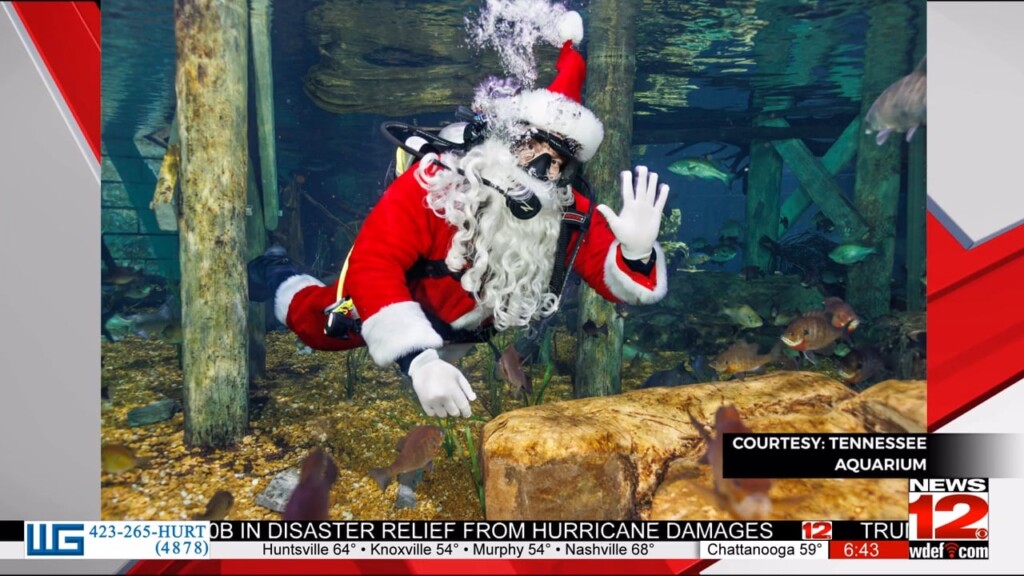 This Morning The Tennessee Aquarium
