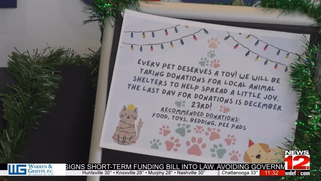 Vcsg Hosts Their Christmas Donation Drive For Shelter Animals