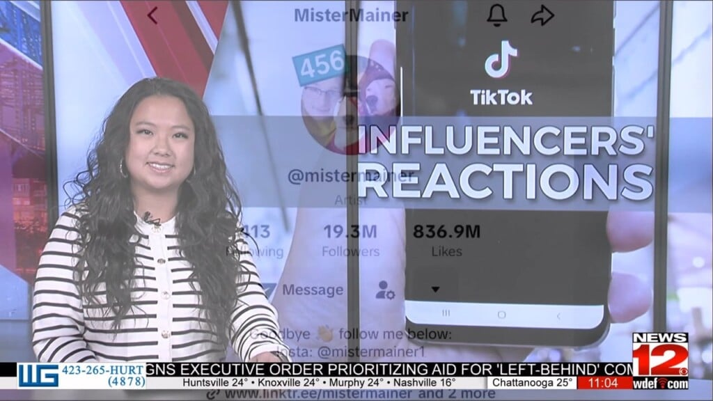 Tiktok Influencers' Reactions