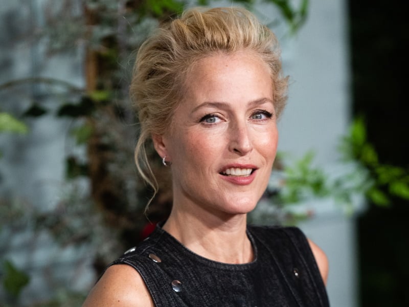 Ben Affleck Replaces Matt Damon In Netflix Thriller ‘animals’ With Gillian Anderson