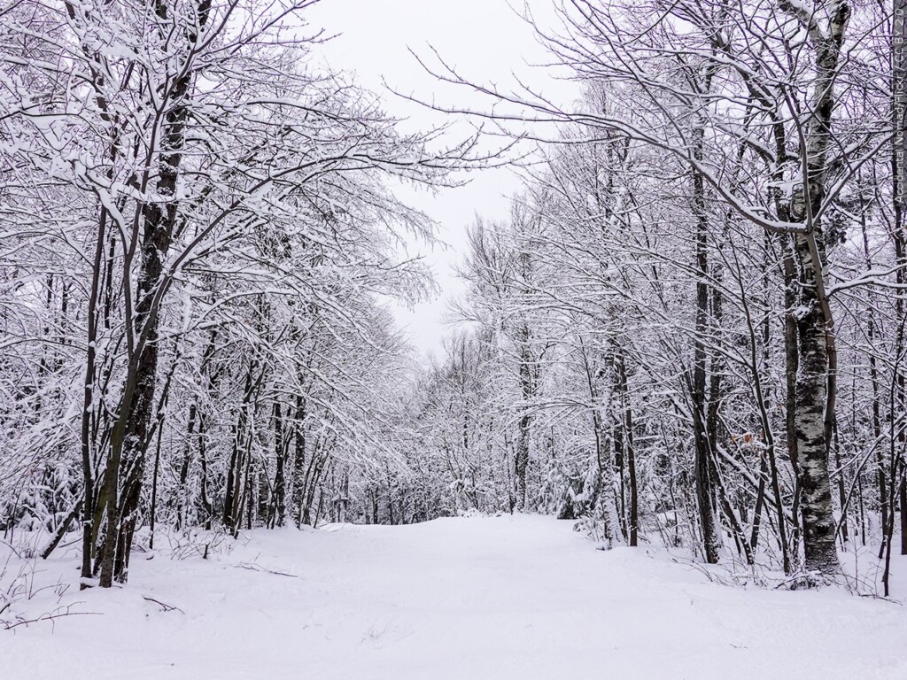 Winter Weather