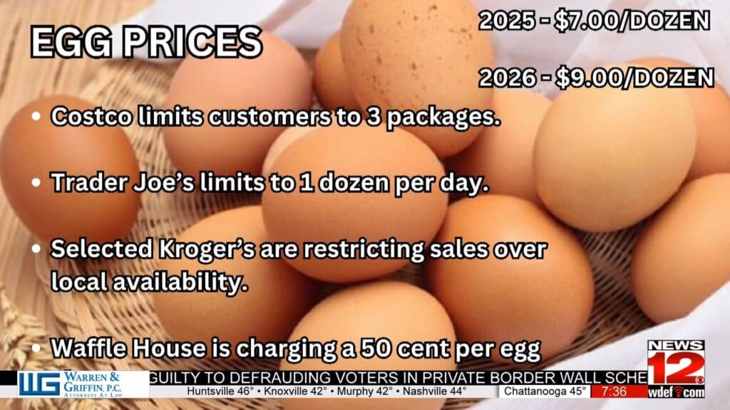 Bird Flu Outbreak Drives Egg Prices To Record Highs