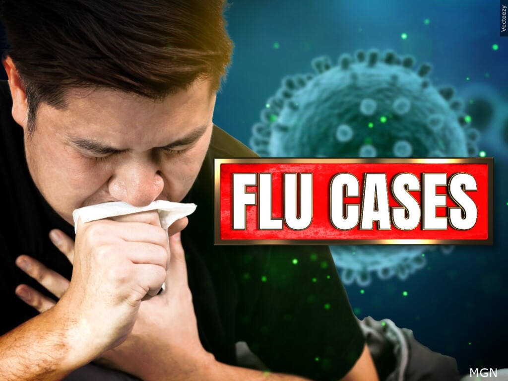 Flu Cases
