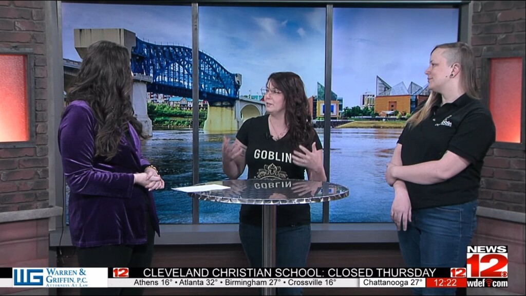 News 12 At Noon Connooga