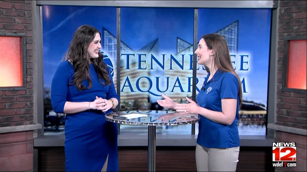 This Morning The Tennessee Aquarium
