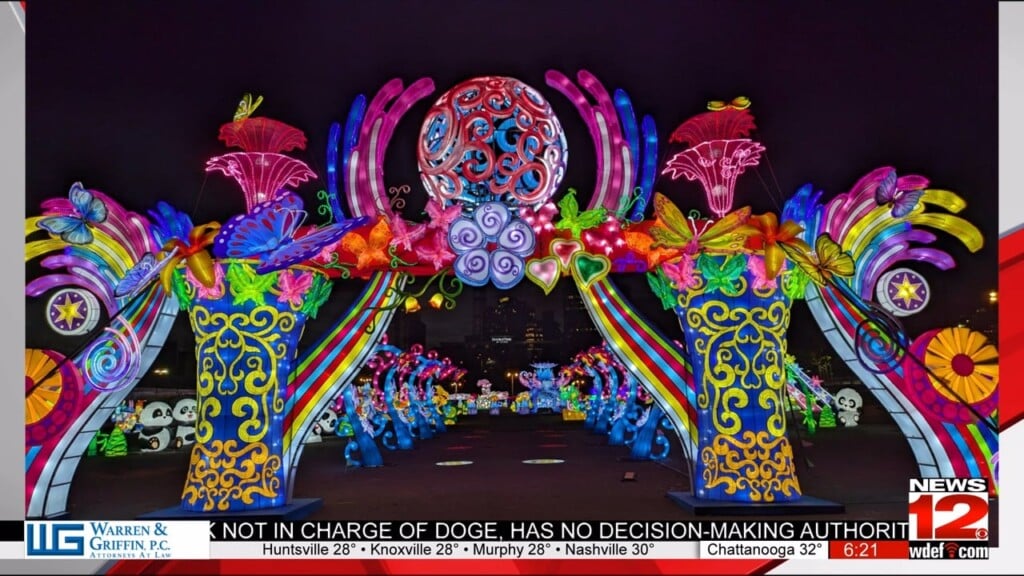 This Morning The Sealight Festival