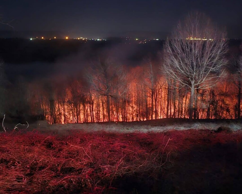 Jackson County Wild Fire