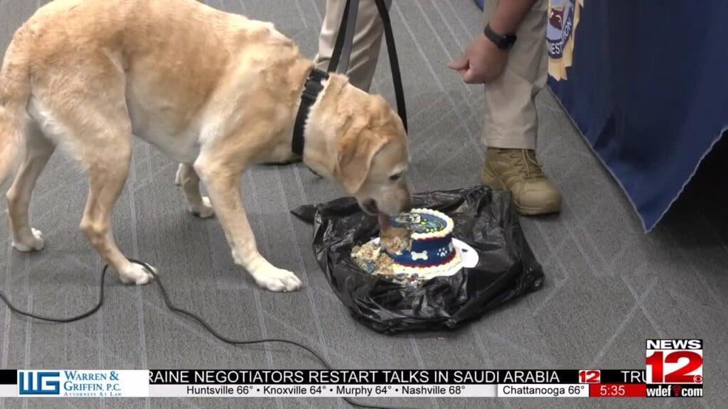 K9 Retirement