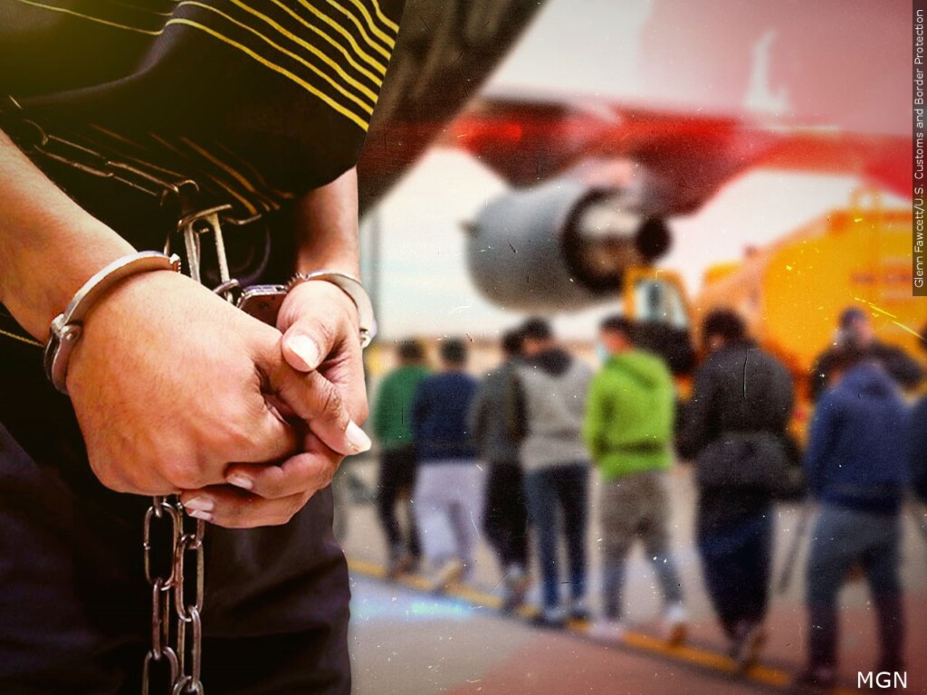 Ice Arrests