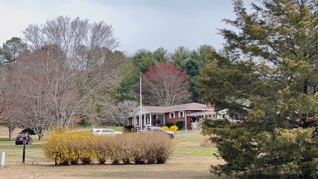 Walker County Murder Suicide