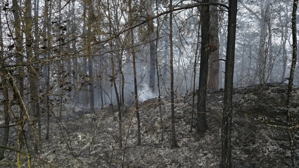 Walker County Fires Walker County Government