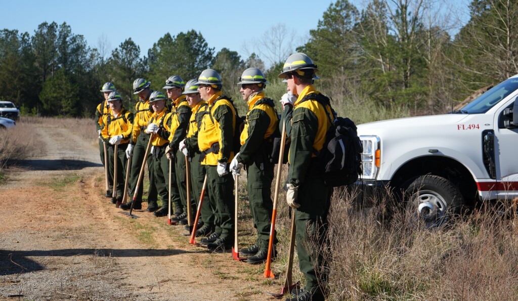 Wildland Fire Team 2