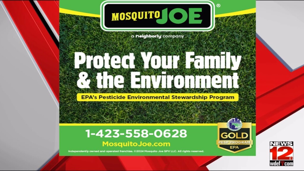 This Morning Mosquito Joe