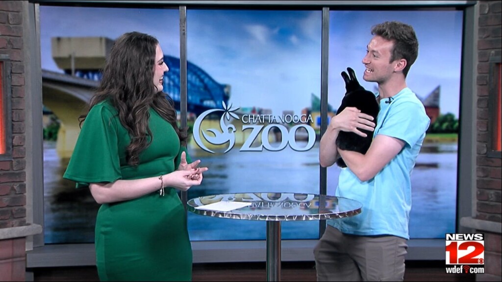 This Morning Chattanooga Zoo