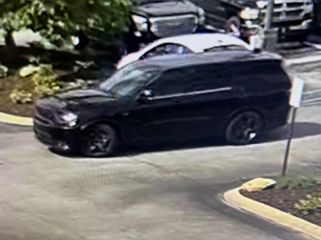 495566777 1008243698111414 5418211092201214402 N