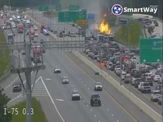 TDOT