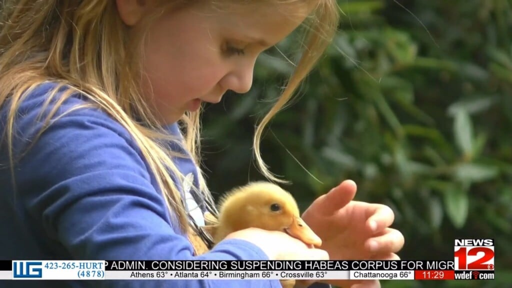 High Point Farms Hosts Mother’s Day Event