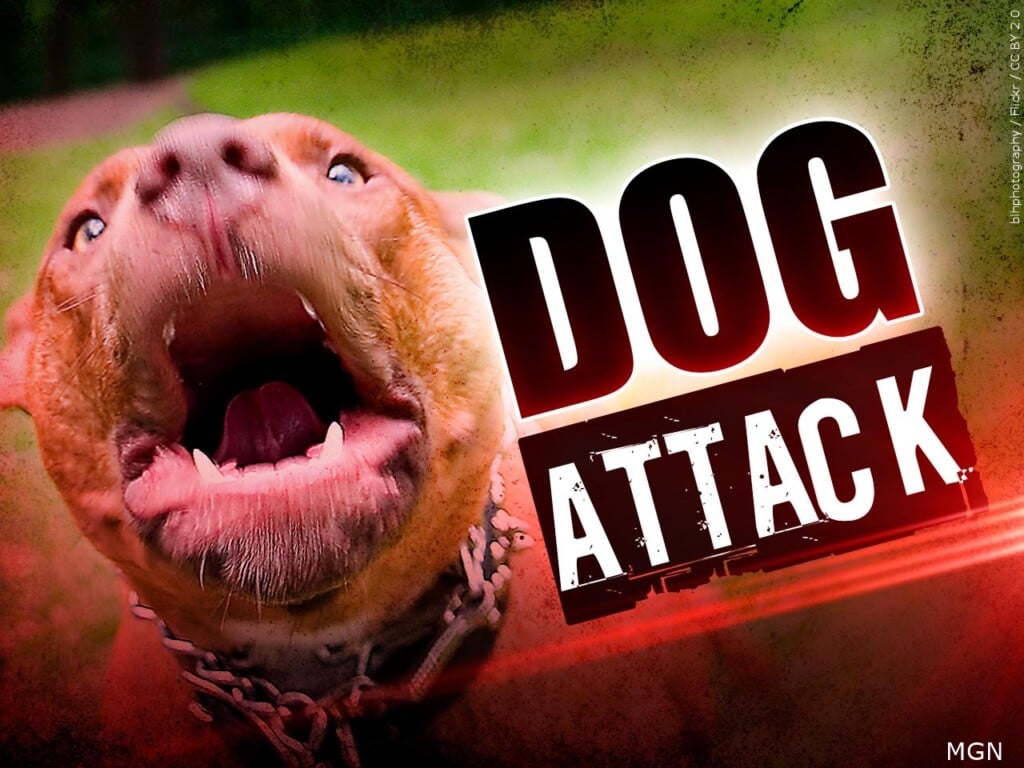 Dog Attack