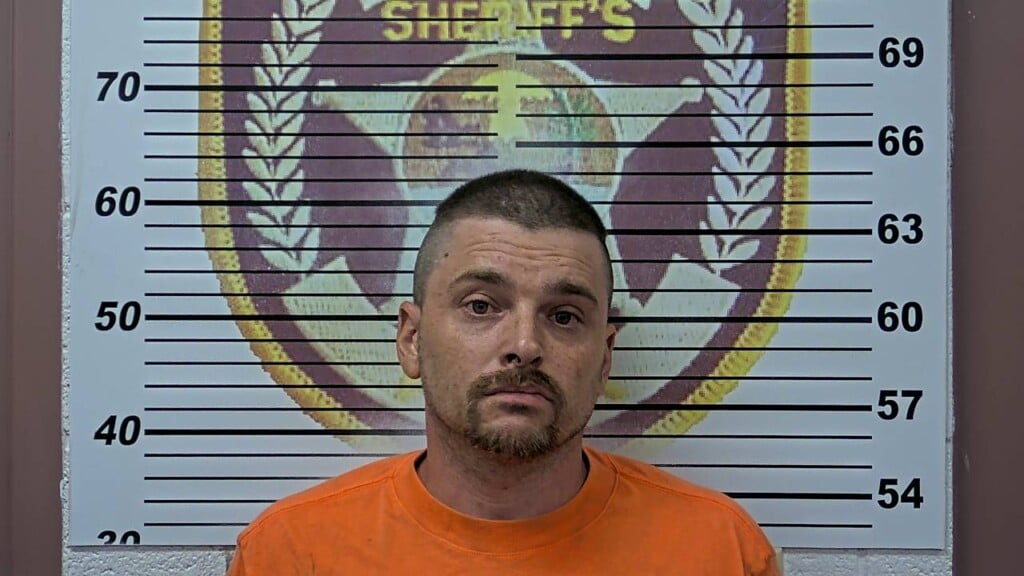 Wentworth Booking Photo